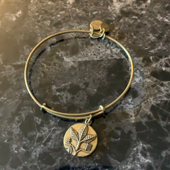 Alex and Ani - Picture 1 of 2
